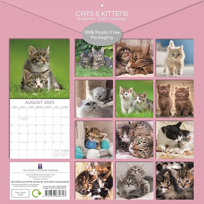 The Gifted Stationary 2025 Square Wall Calendar, Cats & Kittens, 16-Month Animals Theme Hanging Calendar with 180 Reminder Stickers, Month Planner for Home, or Creative Spaces, 12x12 In