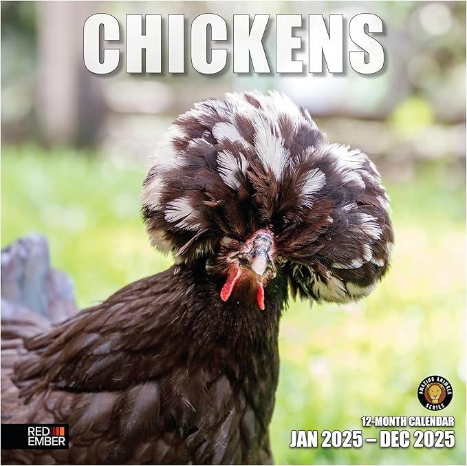 RED EMBER Chickens 2025 Wall Calendar 12 Month | 12" x 24" Open | Thick & Sturdy Paper | Giftable | Calendar 2025