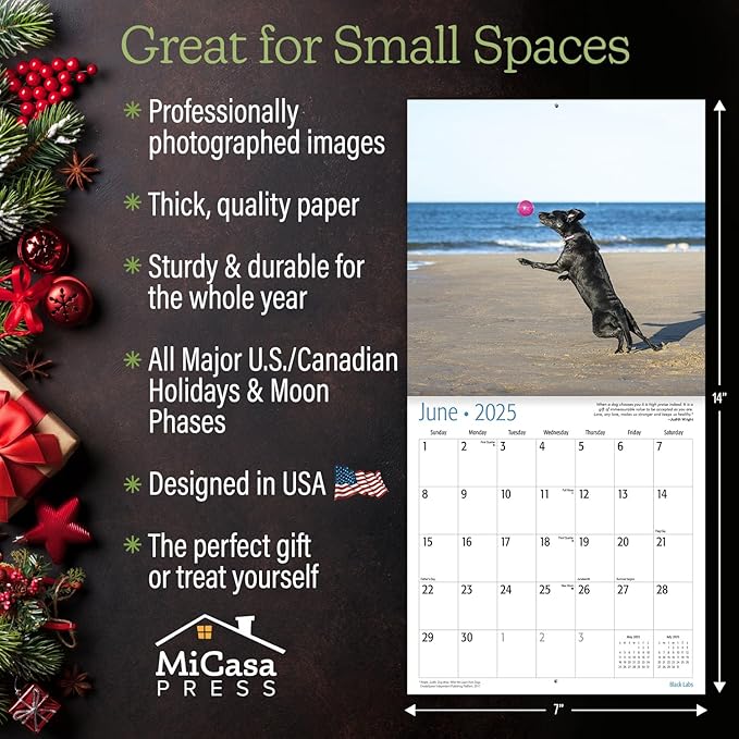 MICASA Black Labs Mini 2025 Wall Calendar 12 Month | 7" x 14" Open | Thick & Sturdy Paper | Giftable | Calendar 2025