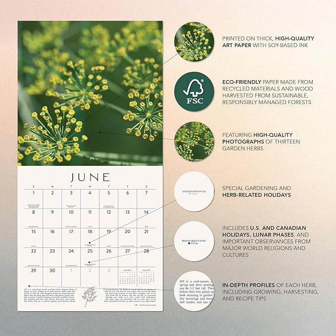 Herb Gardens Calendar 2025 | 12" x 24" Herbal Wall Calendar 12 Month | Marble City Press | Advice for Year Round Growing, Garden and Herbalist Tips Throughout | Super Foods, Home Gardening