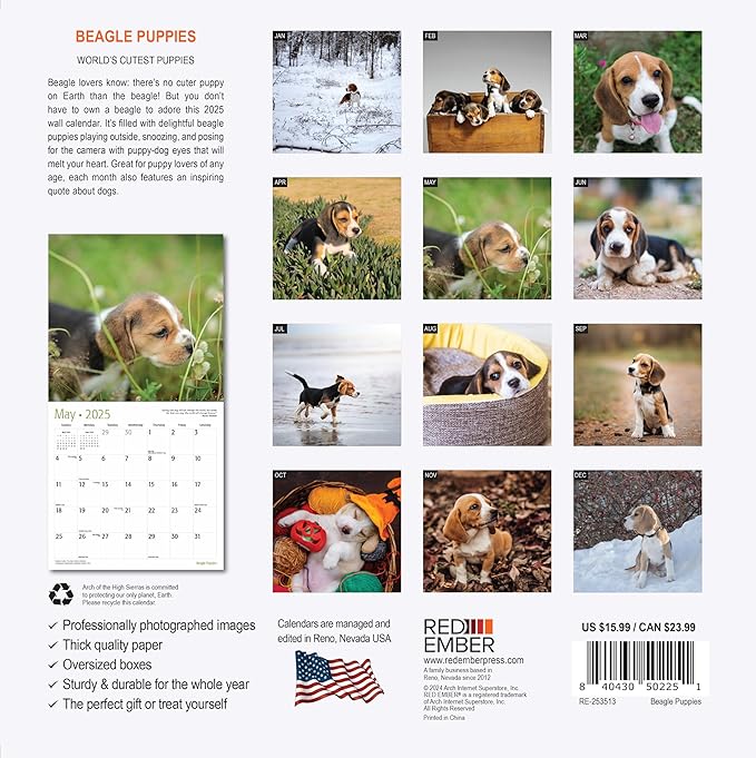 RED EMBER Beagle Puppies 2025 Wall Calendar 12 Month | 12" x 24" Open | Thick & Sturdy Paper | Giftable | Calendar 2025