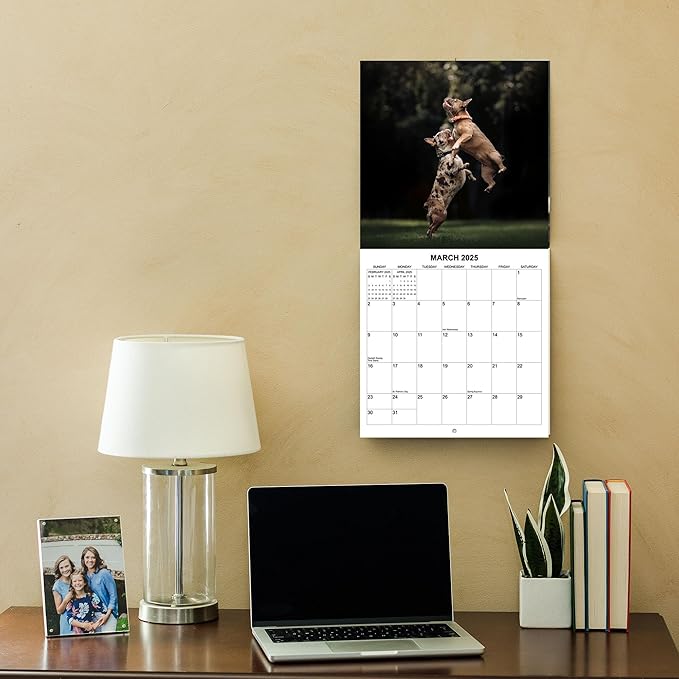 2025 French Bulldogs Monthly Hangable Wall Calendar | 12" x 24" | Thick Sturdy Paper | 2025 Dog Calendar