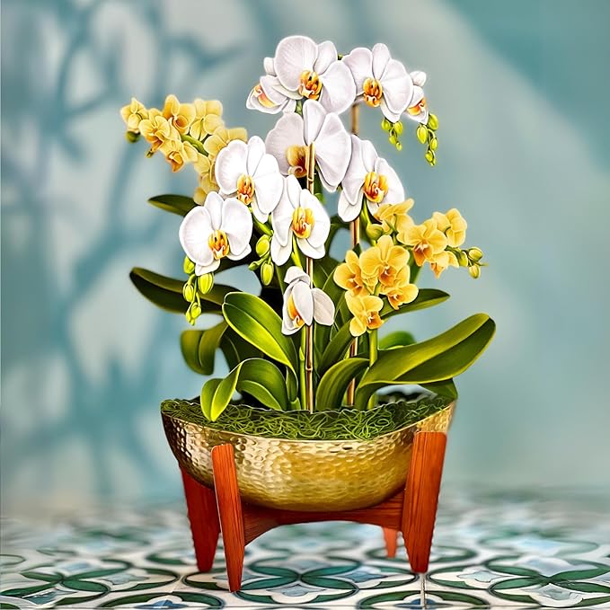 Freshcut Paper Pop Up Cards, Serenity Orchid, 12 Inch Life Sized Forever Flower Bouquet 3D Popup Greeting Card, Birthday Cards, Get Well Gifts, Blank Notecard & Envelope