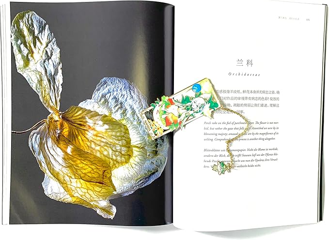 Metal Bookmarks - Genshin Impact Nahida Brass Bookmarks with 3D Display Box for Women Men Sisters Friends - Perfect Birthday Gifts for Book Lovers