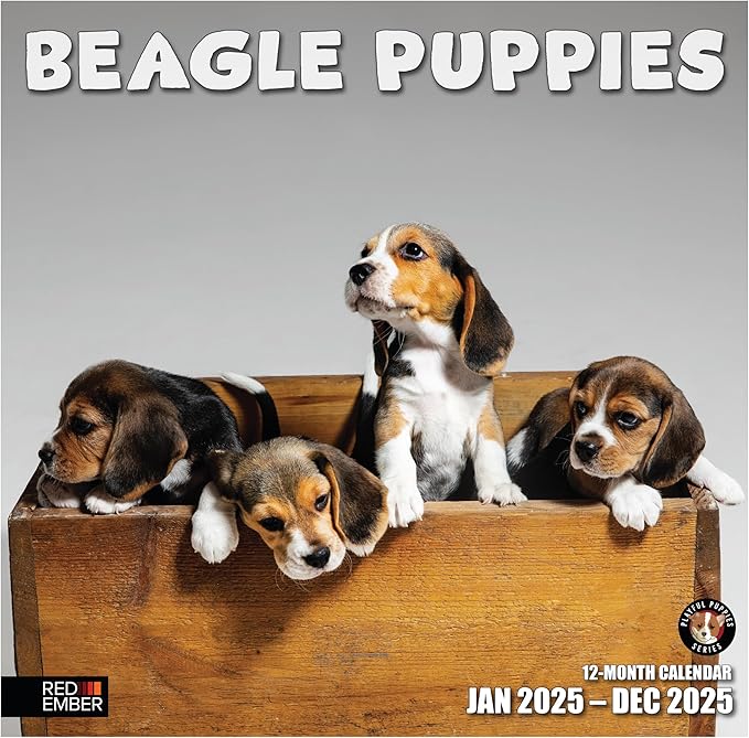 RED EMBER Beagle Puppies 2025 Wall Calendar 12 Month | 12" x 24" Open | Thick & Sturdy Paper | Giftable | Calendar 2025