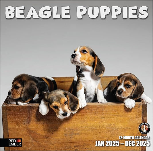 RED EMBER Beagle Puppies 2025 Wall Calendar 12 Month | 12" x 24" Open | Thick & Sturdy Paper | Giftable | Calendar 2025