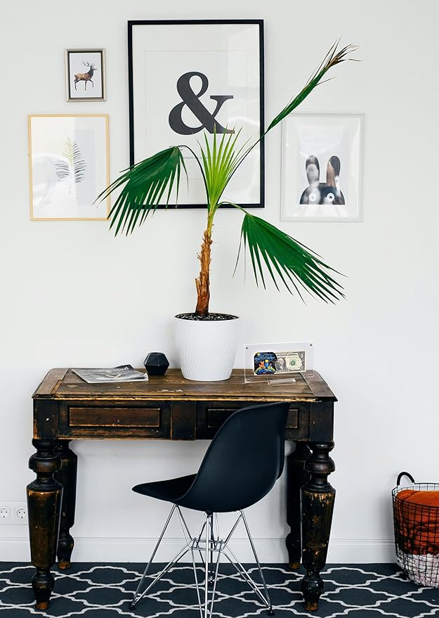 Artisanal Reflections (The Little Prince)