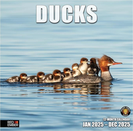RED EMBER Ducks 2025 Wall Calendar 12 Month | 12" x 24" Open | Thick & Sturdy Paper | Giftable | Calendar 2025