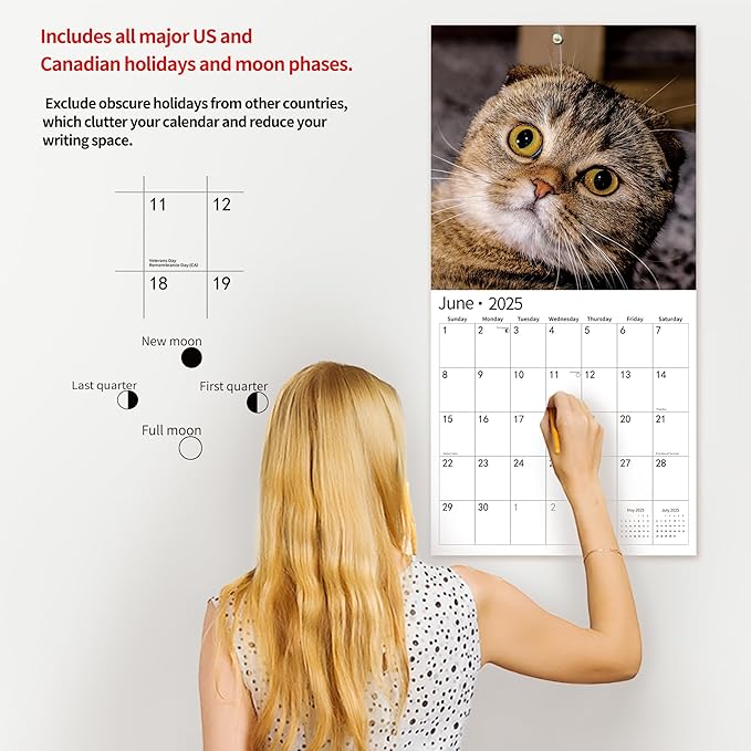 2025 Wall Calendar,Funny Calendar 2025, November 2024 - December 2025, Wall Calendar Funny Animal Memes, 12" x 24" Opened, Full Page 14 Months Thick Paper for Gift Calendar Organizing Planning