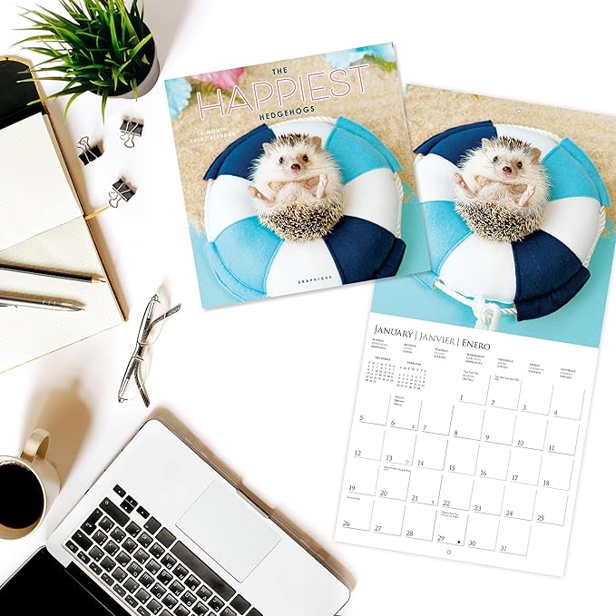 Graphique 2025 Happiest Hedgehogs Wall Calendar | 12” x 12” | Thick Paper | Home & Office Organizer | Large Monthly Grid | 3 Languages & Marked Holidays | 4 Month Preview Page for 2026