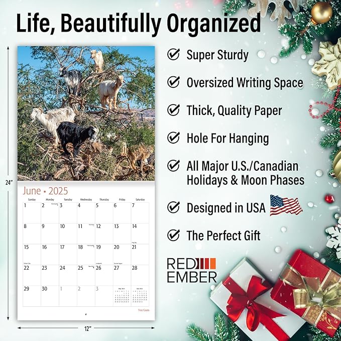 RED EMBER Tree Goats 2025 Wall Calendar 12 Month | 12" x 24" Open | Thick & Sturdy Paper | Giftable | Calendar 2025