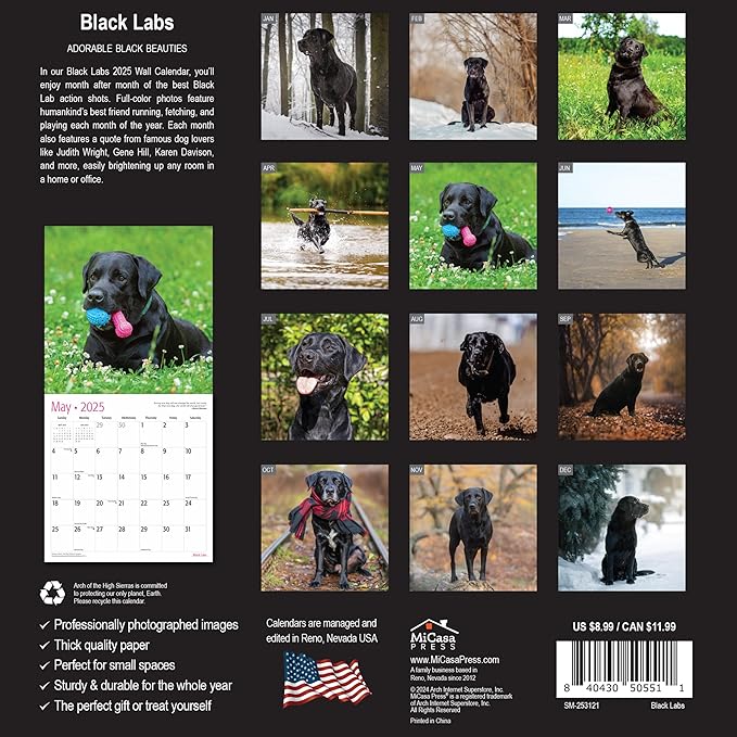 MICASA Black Labs Mini 2025 Wall Calendar 12 Month | 7" x 14" Open | Thick & Sturdy Paper | Giftable | Calendar 2025