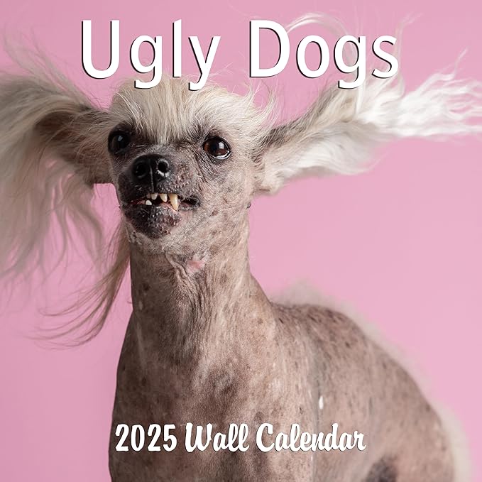 2025 Ugly Dogs Monthly Wall Calendar | Hilarious Gag Gift for Dog Lovers | Funny Dogs White Elephant Gift Calendar