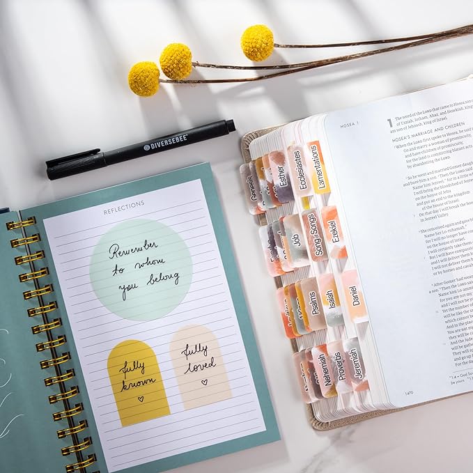 DiverseBee Transparent Sticky Notes (Includes Quick Dry Pen), Cute Clear Sticky Tabs, Translucent Page Flags Book Markers Stickers, Planner Accessories Bible Journaling Study Office Supplies (Matera)