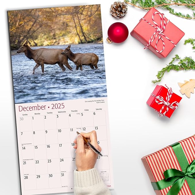 RED EMBER Great Smoky Mountains National Park 2025 Wall Calendar 12 Month | 12" x 24" Open | Thick & Sturdy Paper | Giftable | Calendar 2025