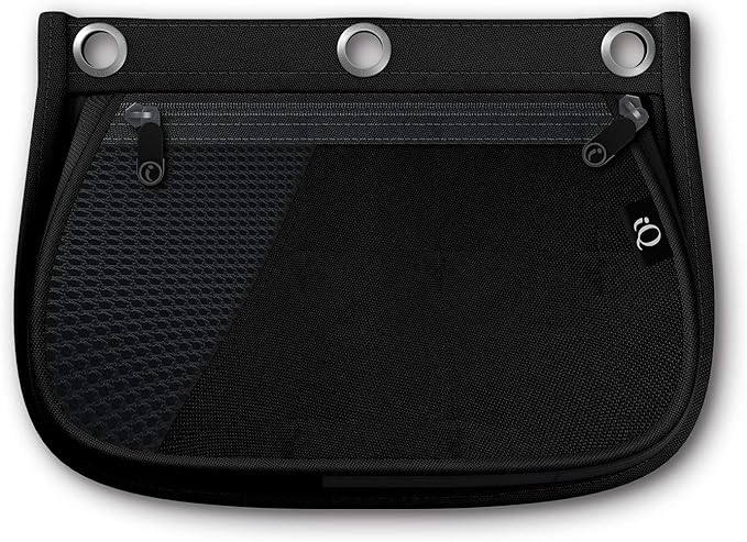 iScholar iQ Expandable Pencil Pouch, 2 Pockets, 3-Hole Pouch, Color Will Vary (55020)