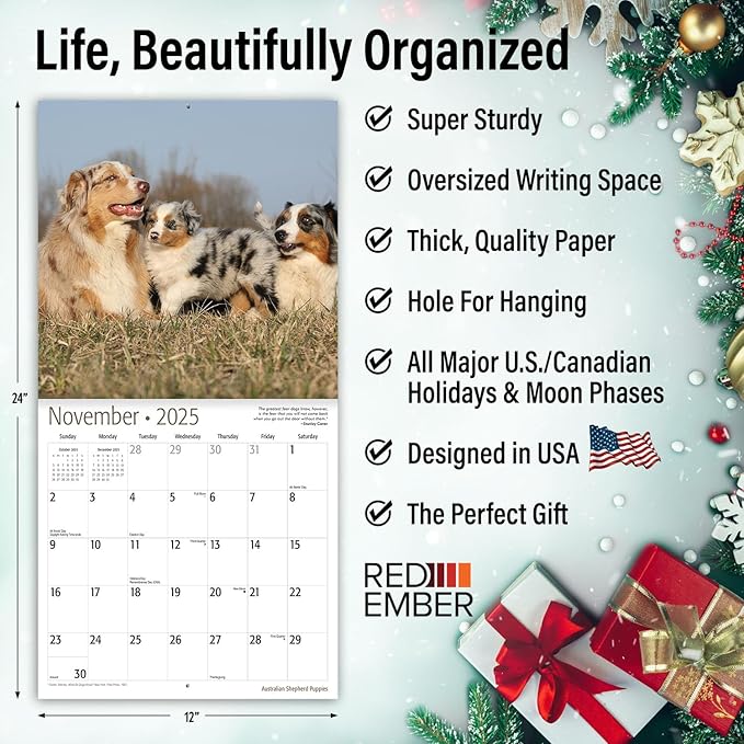 RED EMBER Australian Shepherd Puppies 2025 Wall Calendar 12 Month | 12" x 24" Open | Thick & Sturdy Paper | Giftable | Calendar 2025