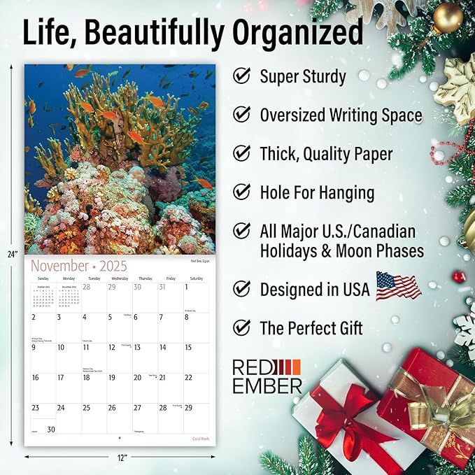 RED EMBER Coral Reefs 2025 Wall Calendar 12 Month | 12" x 24" Open | Thick & Sturdy Paper | Giftable | Calendar 2025