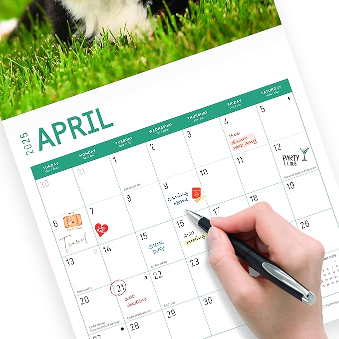 2025 Puppies Monthly Wall Calendar by Bright Day, Includes Over 300 Stickers, 12 x 12 Inch