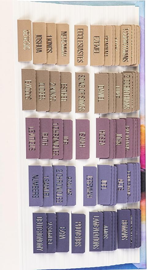 DiverseBee Laminated Bible Tabs (Gold Embossed Lettering), Bible Study Journaling Supplies, Bible Book Tabs, 73 Bible Tabs for Women and Men, Includes 4 Blank Tabs (Olive)