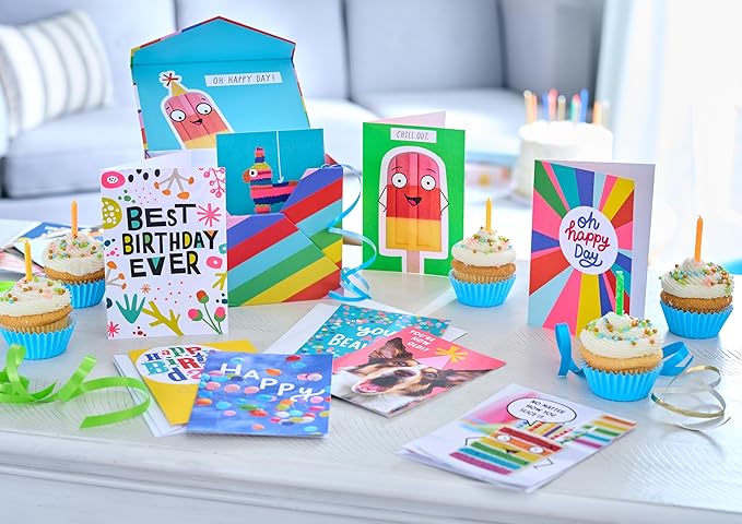 Recycled Paper Greetings 30-Count Funny Birthday Card Assortment with Envelopes, Seals, and Storage Box by Vicky Barone