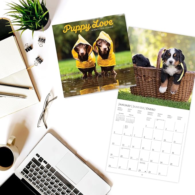 Graphique 2025 Puppy Love Wall Calendar | 12” x 12” | Thick Paper | Home & Office Organizer | Large Monthly Grid | 3 Languages & Marked Holidays | 4 Month Preview Page for 2026