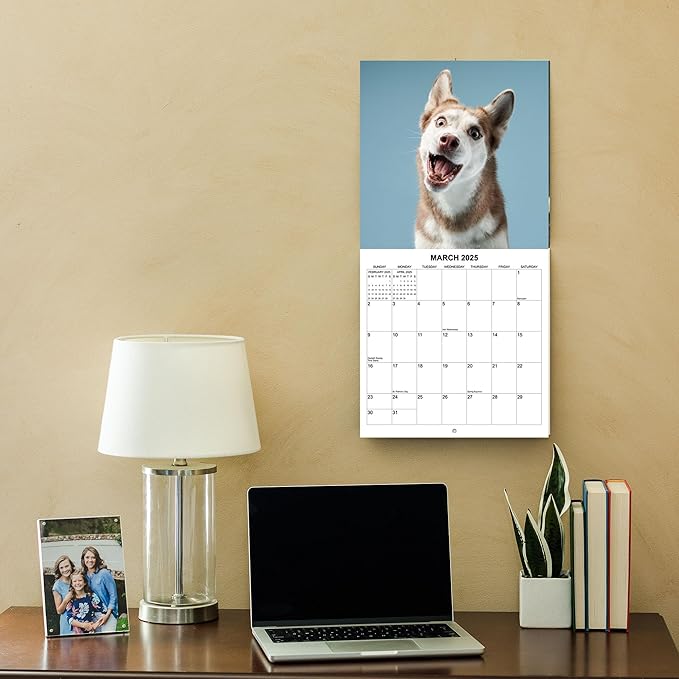 2025 Treat Time Monthly Wall Calendar - Dogs Making Funny Faces Trying to Catch Treats | 12" x 24" | Thick Sturdy Paper | Dog Calendar 2025