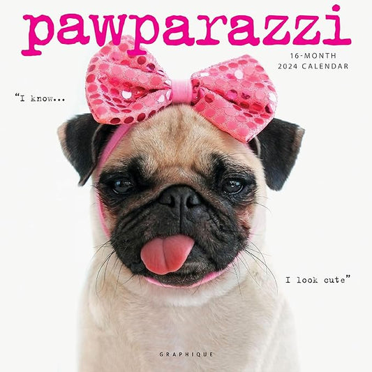 Graphique 2025 Pawparazzi Wall Calendar | 12” x 12” | Thick Paper | Home & Office Organizer | Large Monthly Grid | 3 Languages & Marked Holidays | 4 Month Preview Page for 2026