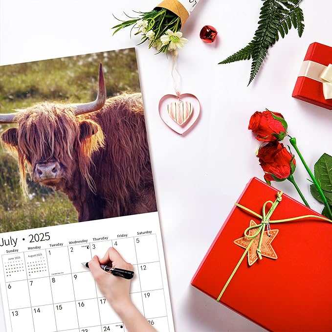 2025 Wall Calendar,Calendar 2025, November 2024 - December 2025, Wall Calendar Highland Cattle, 12" x 24" Opened,Full Page Months Thick & Sturdy Paper for Calendar Organizing & Planning
