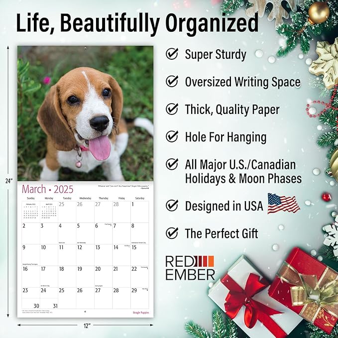 RED EMBER Beagle Puppies 2025 Wall Calendar 12 Month | 12" x 24" Open | Thick & Sturdy Paper | Giftable | Calendar 2025