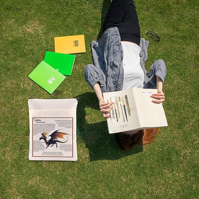 Zuo Bao FW Fans Book Sleeve FW Inspired Gift Dragon Rider Waterproof Zipper Pouch Tairn Lovers Bookish Gift (Tairn)