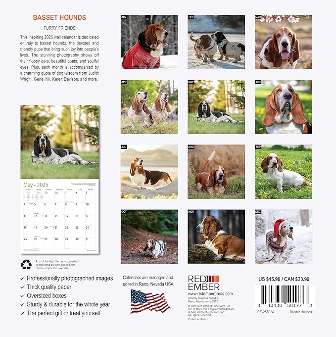 RED EMBER Basset Hounds 2025 Wall Calendar 12 Month | 12" x 24" Open | Thick & Sturdy Paper | Giftable | Calendar 2025