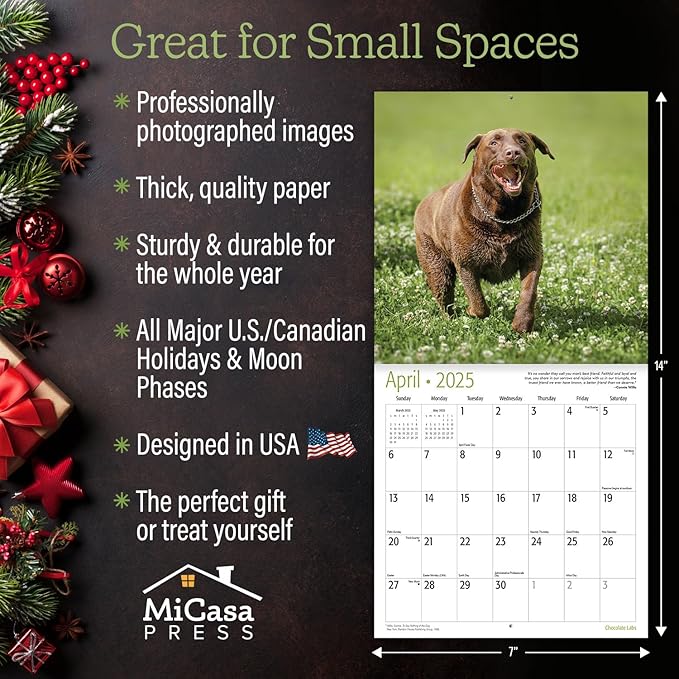 MICASA Chocolate Labs Mini 2025 Wall Calendar 12 Month | 7" x 14" Open | Thick & Sturdy Paper | Giftable | Calendar 2025