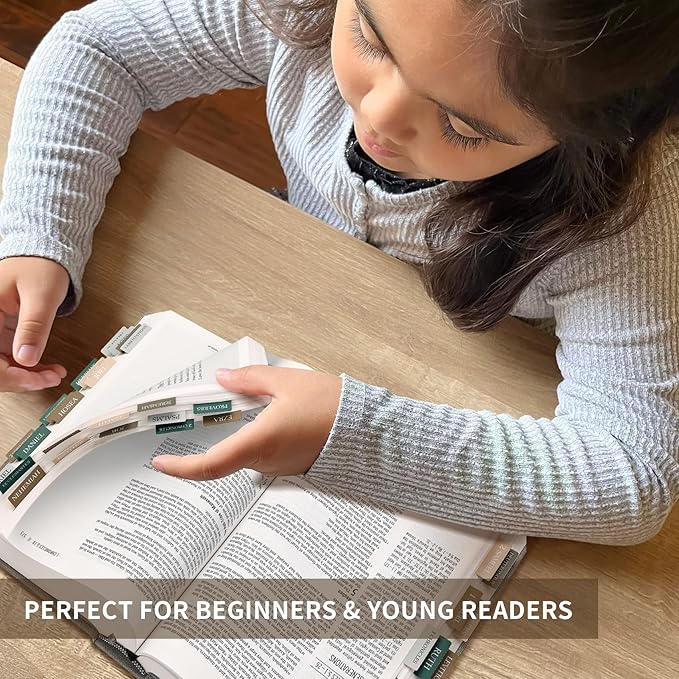 Bible Tabs for Women & Men, Laminated Bible Tabs for Study Bible, Large Print Neutral Bible Tabs for Easy Navigation, Bible Index Tabs, 66 Tabs Old & New Testament, Extra 9 Blank Tabs - Winter Wood