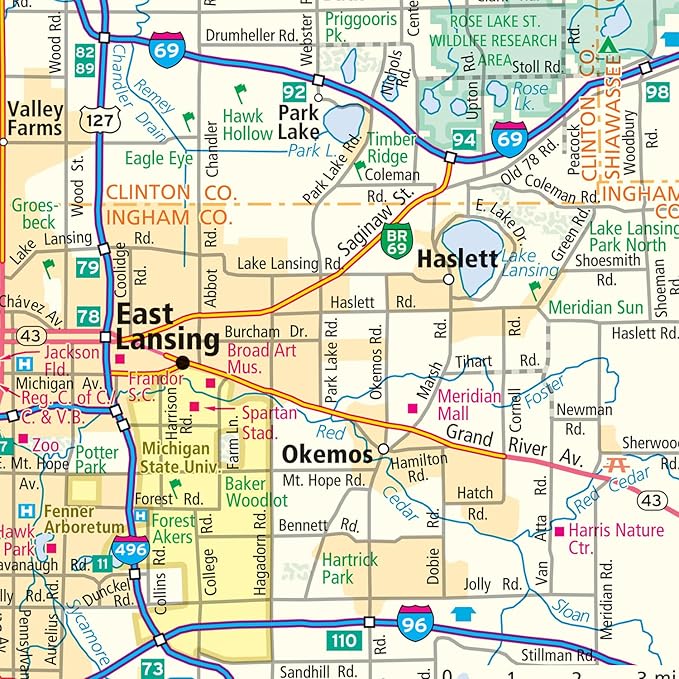 Rand McNally Easy to Fold: Michigan Laminated Map