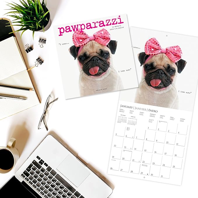 Graphique 2025 Pawparazzi Wall Calendar | 12” x 12” | Thick Paper | Home & Office Organizer | Large Monthly Grid | 3 Languages & Marked Holidays | 4 Month Preview Page for 2026