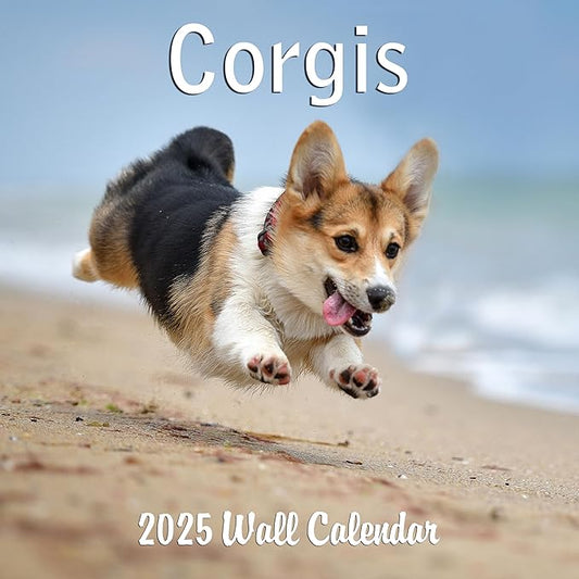 2025 Corgis Monthly Wall Calendar | 12" x 24" | Thick Sturdy Paper | Dog Calendar 2024-2025