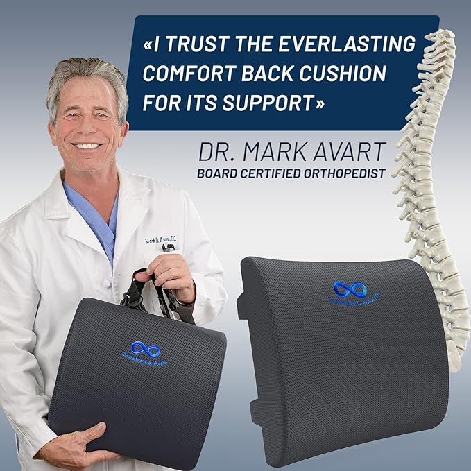 Everlasting Comfort Lumbar Support Pillow for Office Chair - Memory Foam Back Cushion for Chair, Car, Couch - Lumbar Pillow Promotes Better Posture, Back Pain Relief - Ideal for Gaming and Desk Chairs