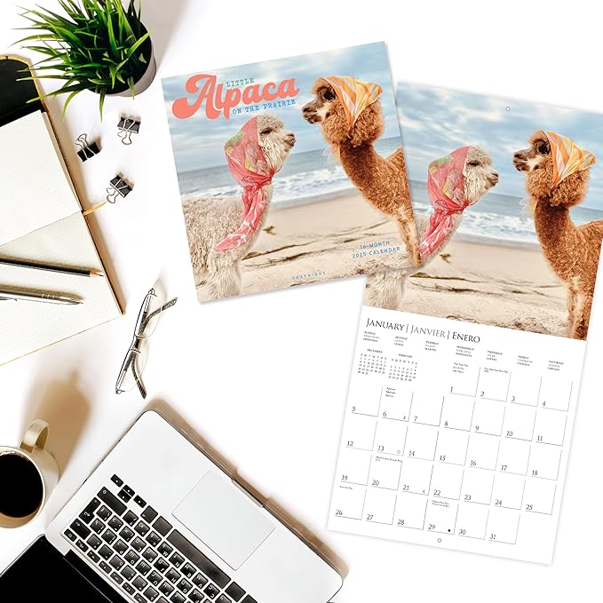 Graphique 2025 Little Alpaca on the Prairie Wall Calendar | 12” x 12” | Thick Paper | Home & Office Organizer | Large Monthly Grid | 3 Languages & Marked Holidays | 4 Month Preview Page for 2026