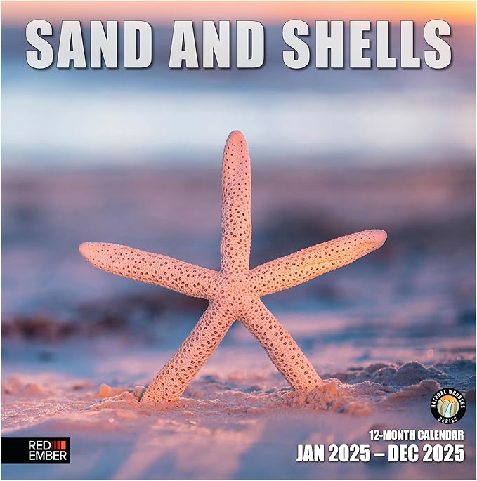 RED EMBER Sand and Shells 2025 Wall Calendar 12 Month | 12" x 24" Open | Thick & Sturdy Paper | Giftable | Calendar 2025