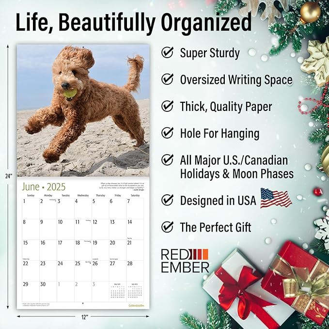 RED EMBER Goldendoodles 2025 Wall Calendar 12 Month | 12" x 24" Open | Thick & Sturdy Paper | Giftable | Calendar 2025
