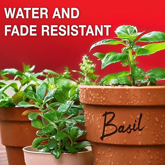 SHARPIE Permanent Markers | Fine Point for Bold Details | Black Ink | 12 Count Marker Pens