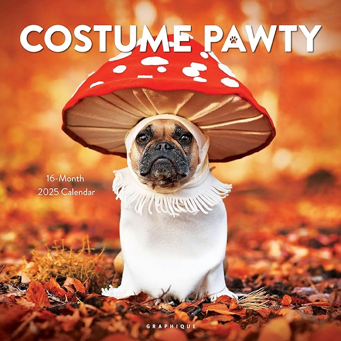 Graphique 2025 Costume Pawty Wall Calendar | 12” x 12” | Thick Paper | Home & Office Organizer | Large Monthly Grid | 3 Languages & Marked Holidays | 4 Month Preview Page for 2026