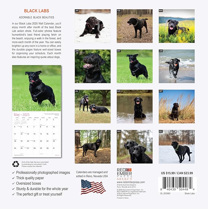 RED EMBER Select - Black Labs 2025 Wall Calendar 12 Month | 12" x 24" Open | Thick & Sturdy Paper | Giftable | Calendar 2025