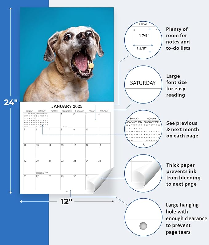 2025 Treat Time Monthly Wall Calendar - Dogs Making Funny Faces Trying to Catch Treats | 12" x 24" | Thick Sturdy Paper | Dog Calendar 2025