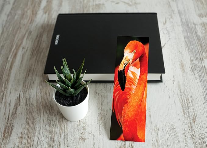 JBH Creations Around The World Animal Bookmarks - Pack of 48