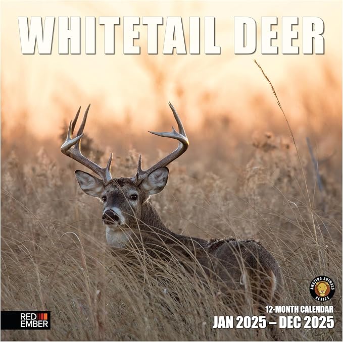 RED EMBER Whitetail Deer 2025 Wall Calendar 12 Month | 12" x 24" Open | Thick & Sturdy Paper | Giftable | Calendar 2025