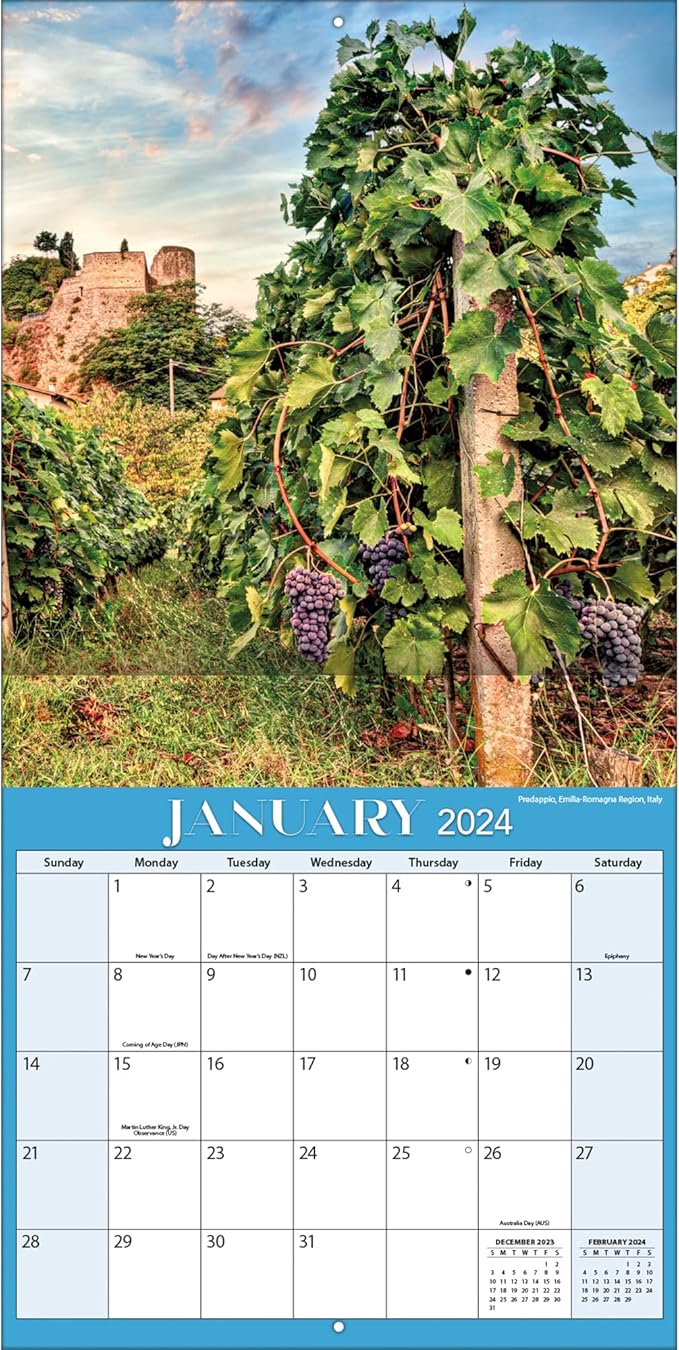 TURNER PHOTOGRAPHIC Vineyards 12X12 Photo Wall Calendar (24998940057)