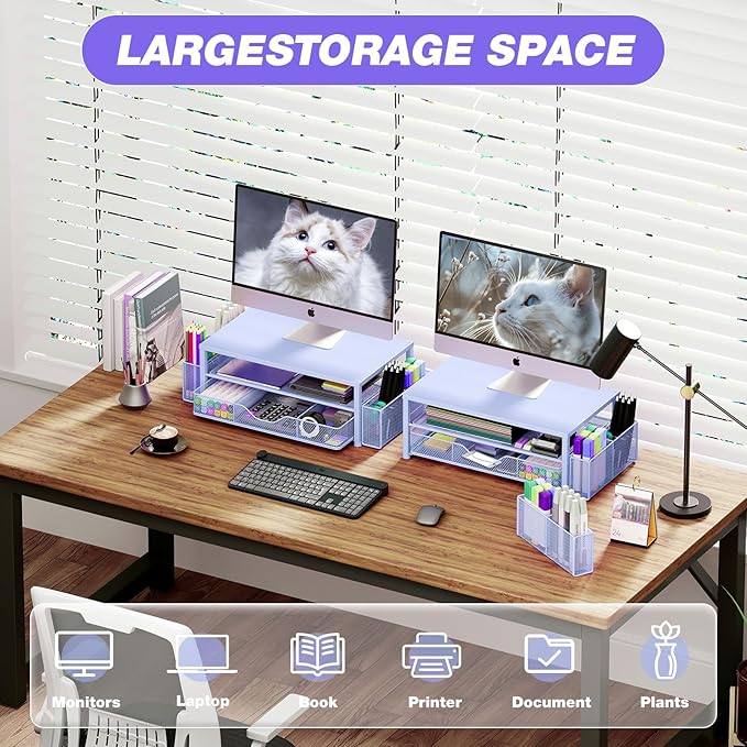 Desk Organizers and Accessories, 2-Tier Computer Monitor Stand for Desk Organizer with Drawer and 2 Pen Holders, Office Desk Accessories Workspace Desktop Organizers for Office Supplies, Blue