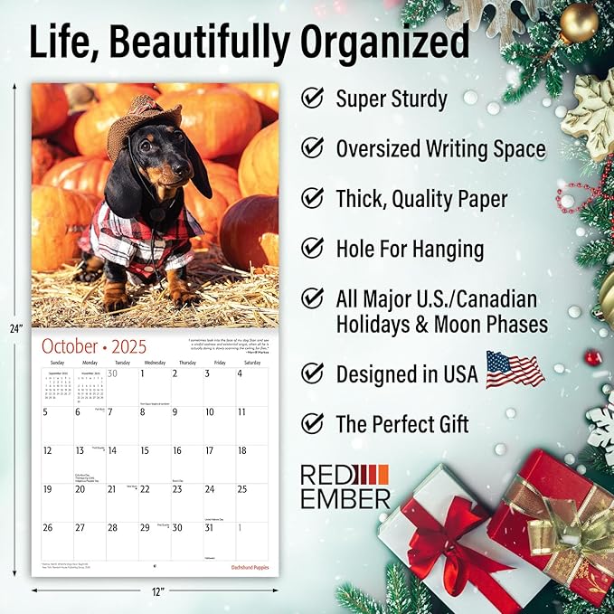 RED EMBER Dachshund Puppies 2025 Wall Calendar 12 Month | 12" x 24" Open | Thick & Sturdy Paper | Giftable | Calendar 2025